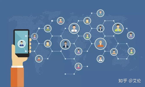 公域与私域的划分及私域流量在信息咨询服务中的应用