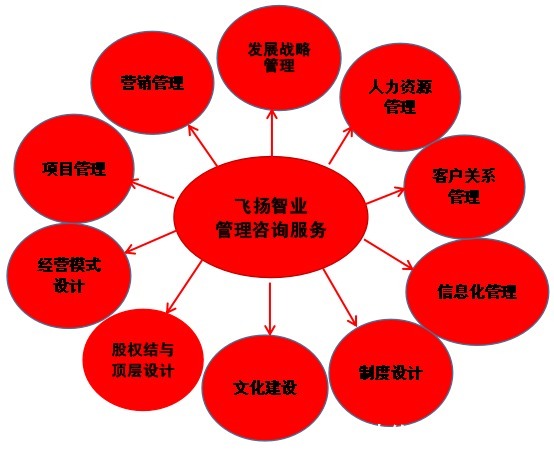 管理咨询服务哪家强？深度解析信息咨询领域的选择策略